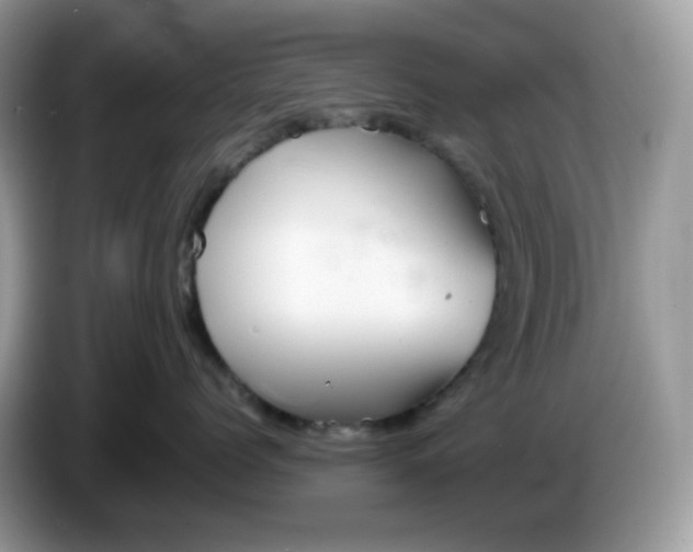 X0000086230768200704121915