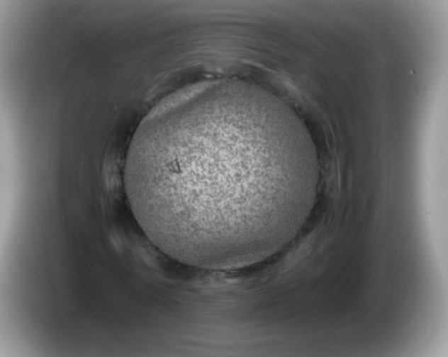 X0000086230770200704121914