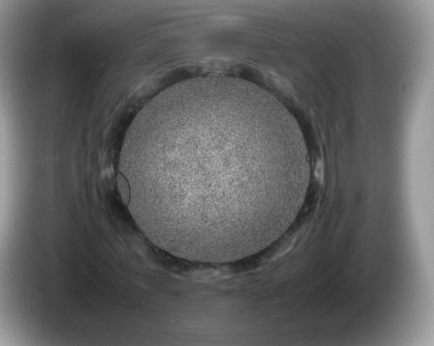 X0000086230771200704121914