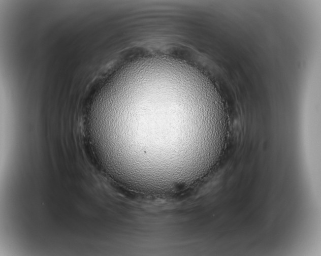 X0000086230772200704121914