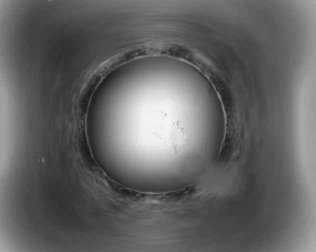 X0000086230773200704121914