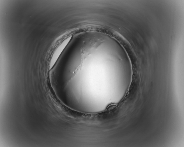 X0000086230775200704121914