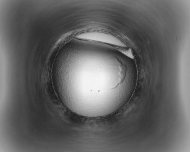 X0000086230776200704121914