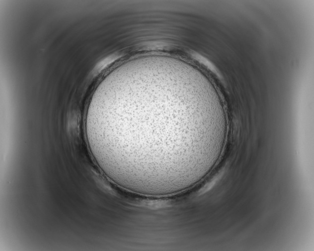 X0000086230778200704121914