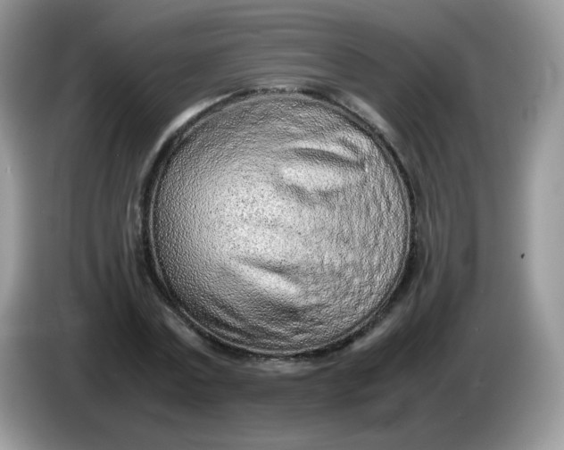 X0000086230779200704121914