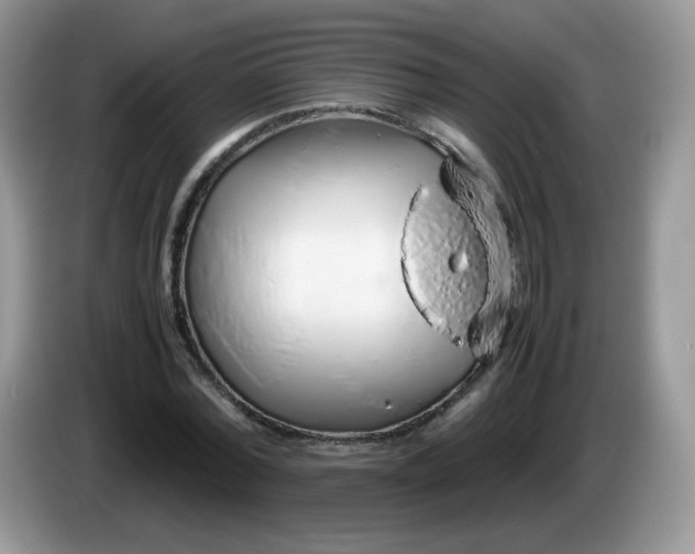 X0000086230780200704121914