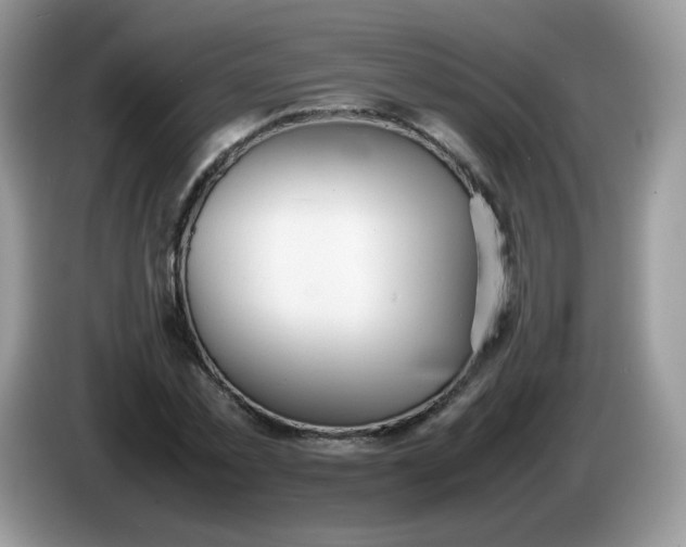 X0000086230781200704121914