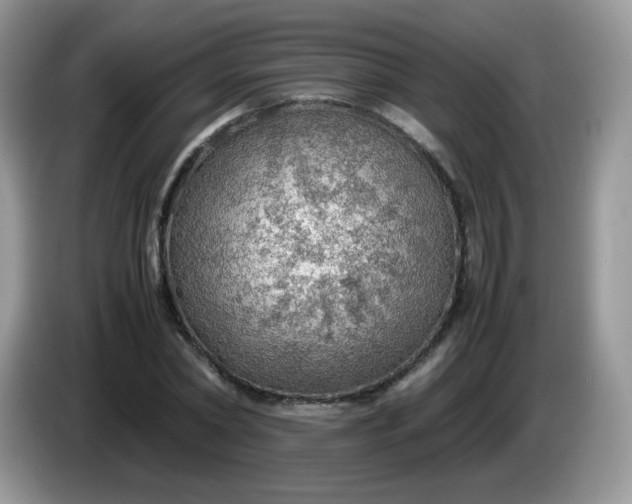 X0000086230782200704121914