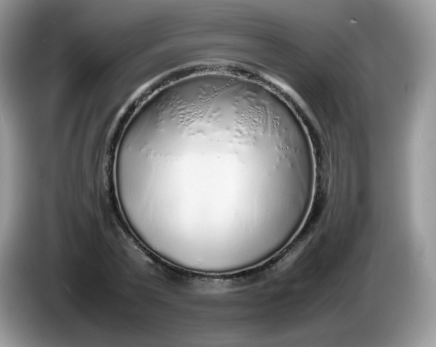 X0000086230783200704121914