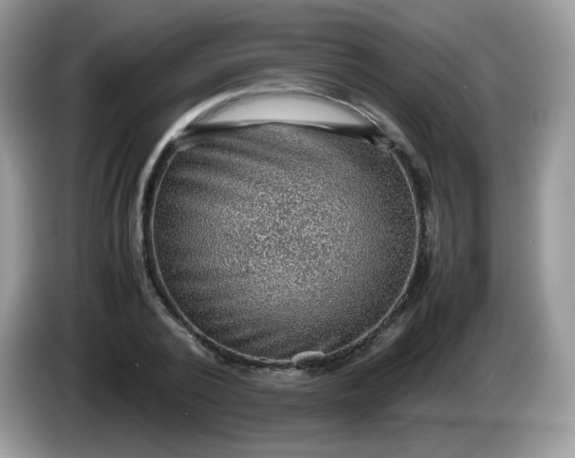 X0000086230784200704121914