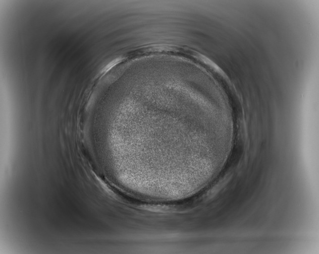 X0000086230785200704121914