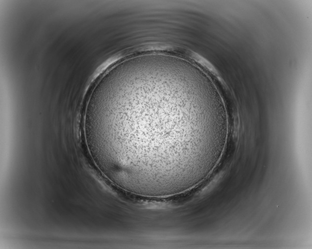 X0000086230786200704121914