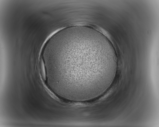 X0000086230787200704121914