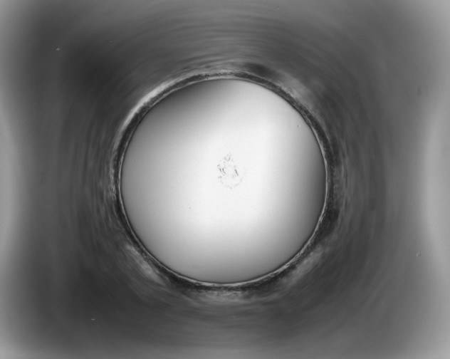 X0000086230789200704121914