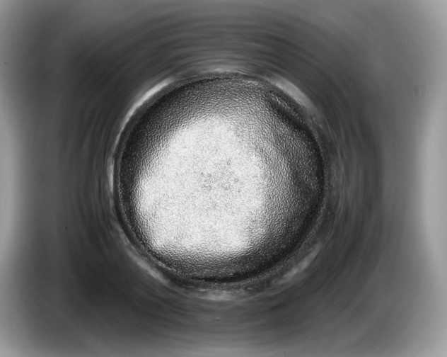 X0000086230790200704121914