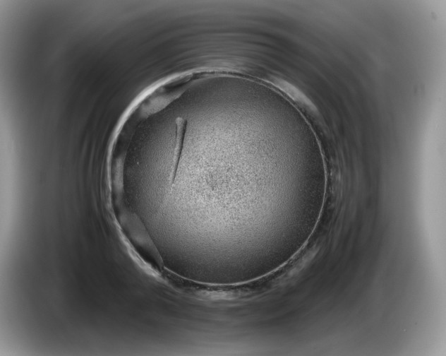 X0000086230792200704121914