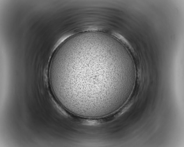 X0000086230794200704121914