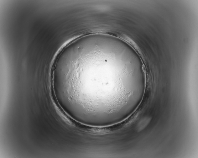 X0000086230795200704121914