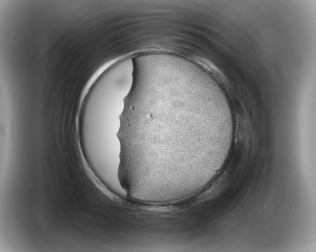 X0000086230796200704121914