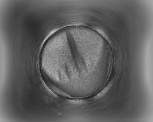 X0000086230797200704121914