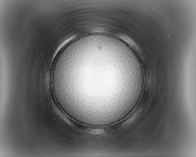 X0000086230798200704121914