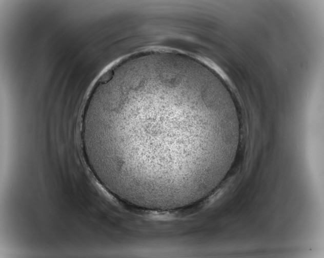 X0000086230799200704121914