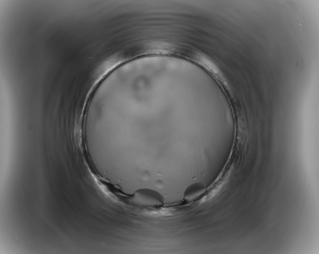 X0000086230802200704121914