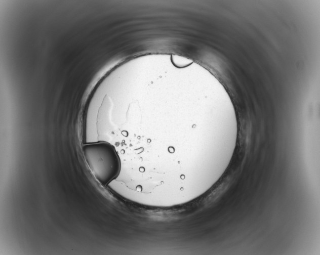 X0000086230804200704121914