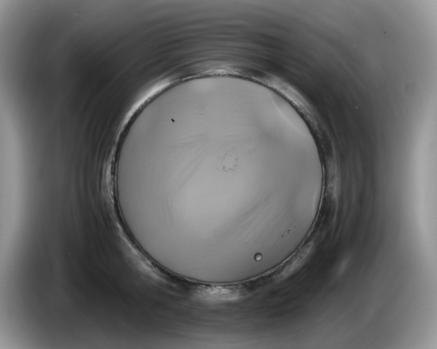 X0000086230806200704121914