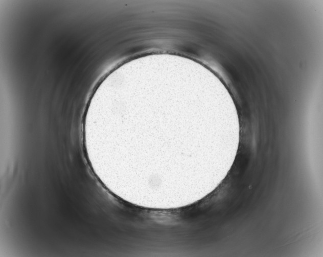 X0000086230807200704121914