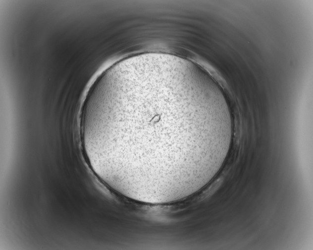 X0000086230808200704121914