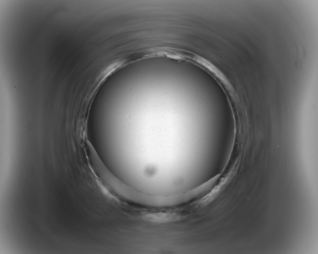 X0000086230809200704121914