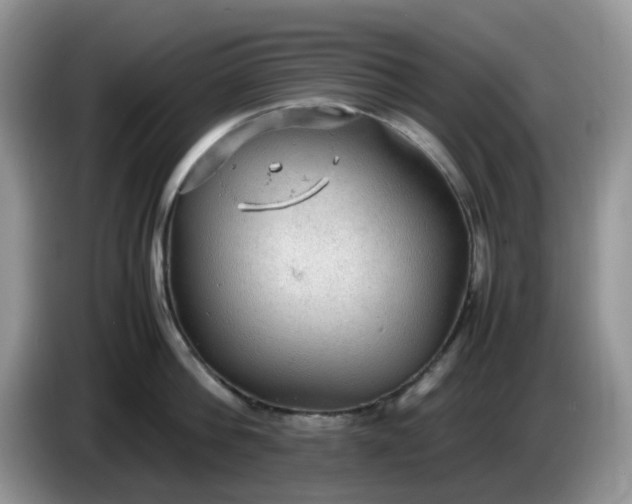 X0000086230812200704121914