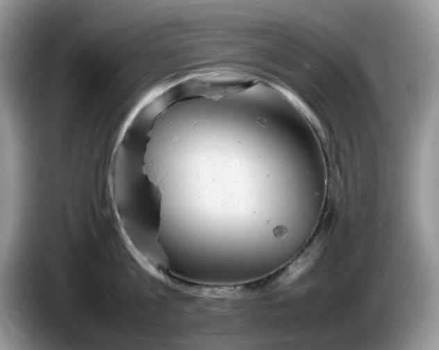 X0000086230813200704121914