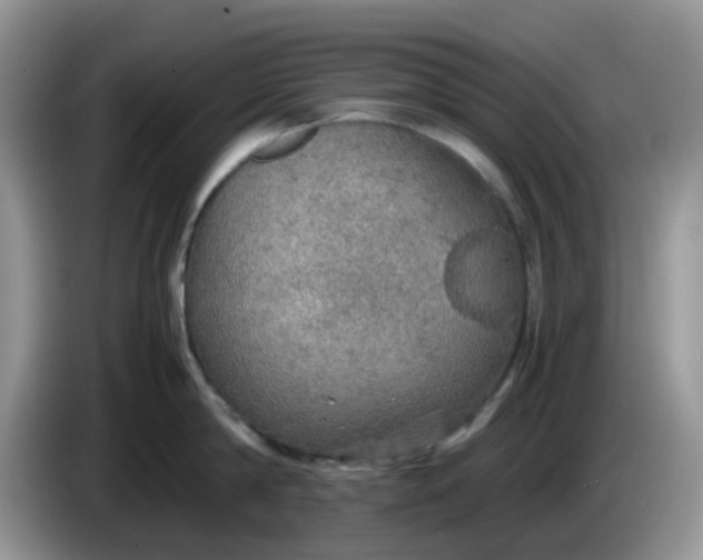 X0000086230814200704121914