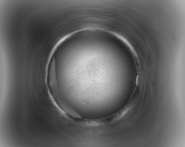 X0000086230815200704121914