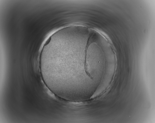 X0000086230816200704121914