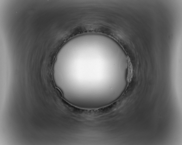 X0000086230817200704121913