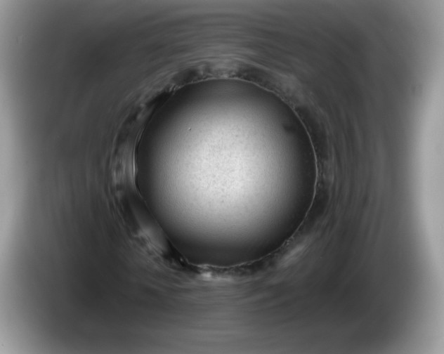 X0000086230818200704121913