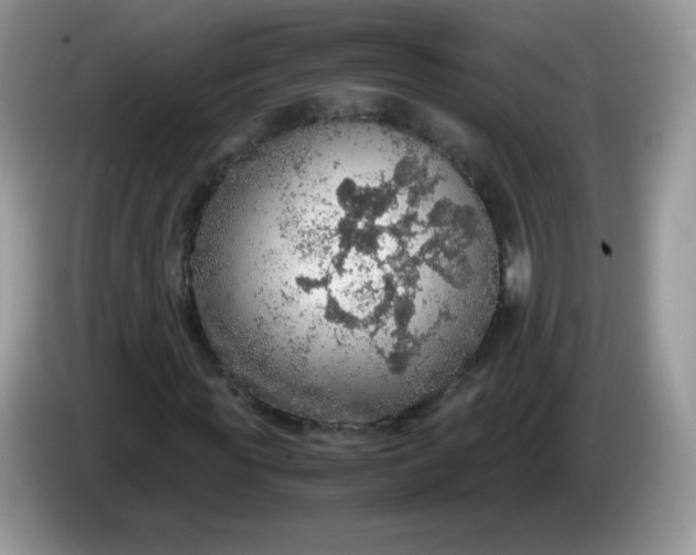 X0000086230819200704121913