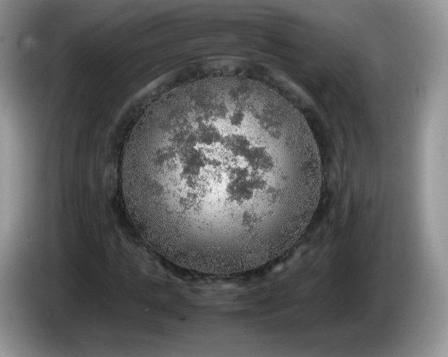 X0000086230821200704121913