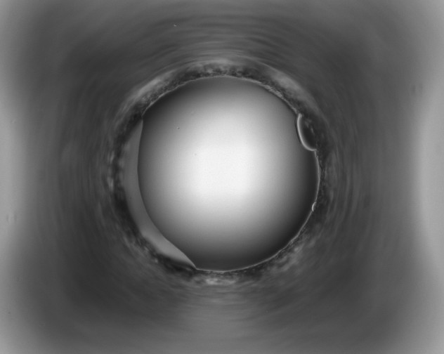 X0000086230822200704121913