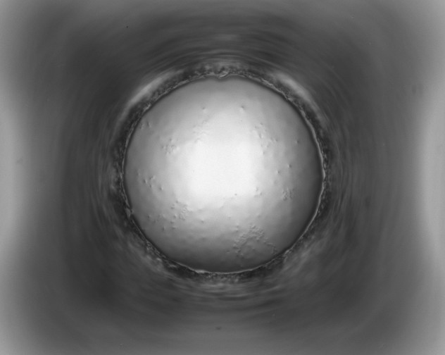 X0000086230823200704121913