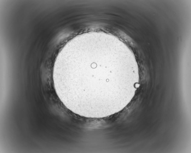 X0000086230824200704121913