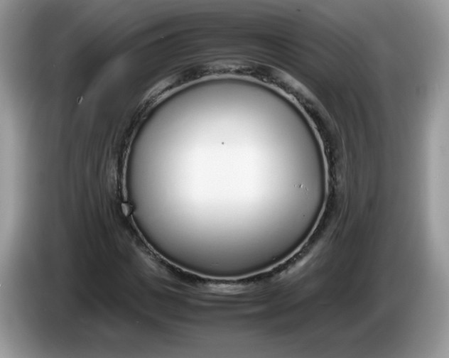 X0000086230825200704121913