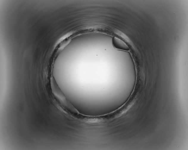 X0000086230826200704121913