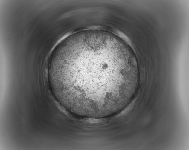 X0000086230827200704121913