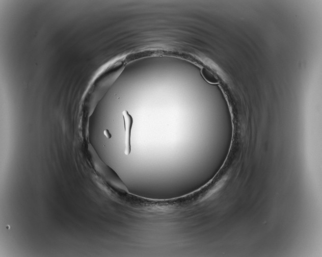 X0000086230830200704121913