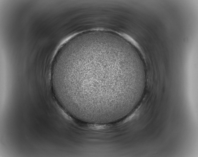 X0000086230831200704121913