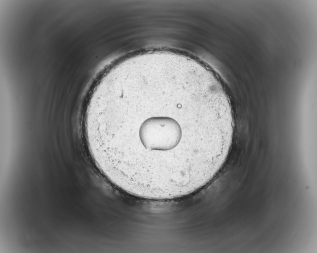 X0000086230832200704121913